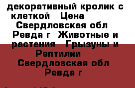 декоративный кролик с клеткой › Цена ­ 2 000 - Свердловская обл., Ревда г. Животные и растения » Грызуны и Рептилии   . Свердловская обл.,Ревда г.